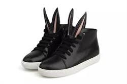 01f6609bb7893342594e05983cec1c18