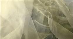 025335dd6dc235a0e9498ee20471f7c5