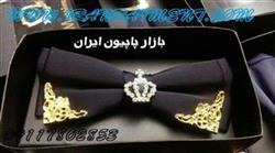 قیمت اینترنتی پاپیون مارکدار مجلسی