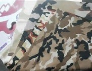 080a862c7ba2fe17e2d087d27b57cdee