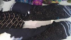 عرضه انواع پارچه مخمل زیبا