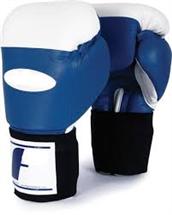 قیمت فروش دستکش بوکس حرفه ای