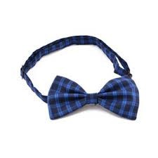 عرضه بهترین پاپیون های چهار خونه