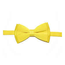 قیمت فروش انواع پاپیون