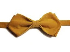 بهترین پاپیون های شیک زنانه