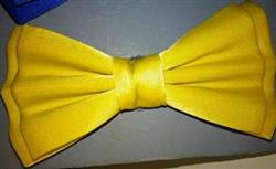 قیمت خرید پاپیون های رنگی و زیبا