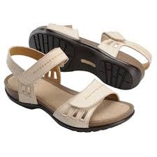 245e037a0d70cdaf4f93d1e929647bb8