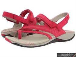 2991e5fd898daa94378c5da030532e98