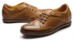 313109da5d6b346ccc5c066150d1dd75