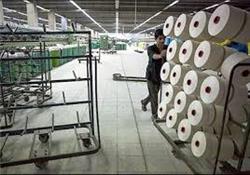 319d6f16a03391c4d178a8e387627e19