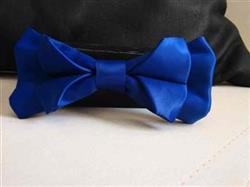 صادرات زیباترین پاپیون مجلسی