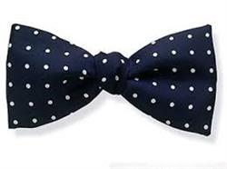 خرید زیبا ترین پاپیون های دخترانه