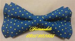 فروش زیباترین پاپیون بچه گانه طرح لی