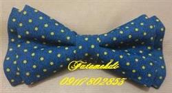 فروش انواع پاپیون بچه گانه به صورت عمده