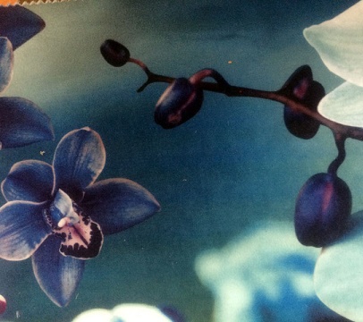 پارچه مبلی زیبا