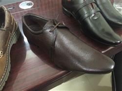 446b7dc96a92d336a3864726b1e2978f