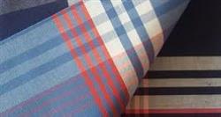 452b4ba203efef8710ef05beedf0845e