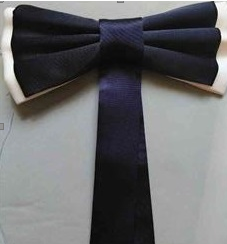 4fe636aa0702ebc1d47ffa829fa41e56