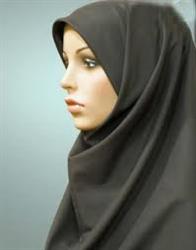 5243c4e561a11435367538fdbe2d86a8