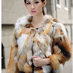 52f81a4524cdf0cb715a43406482c93b