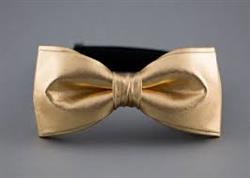 54fabbbca84d32e9de4237e2b2b2b7d0