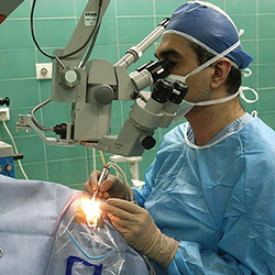 خرید اینترنتی پارچه بیمارستانی ترگال