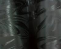 5a0a470d0636828d8388ce9eee519669