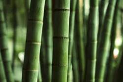 5e7c7ee7d877a902e31f19148f68e31e