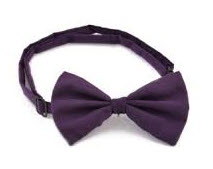 عرضه بهترین پاپیون ها با قیمت عمده