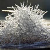 فروش ویژه انواع الیاف پلی استر نانو