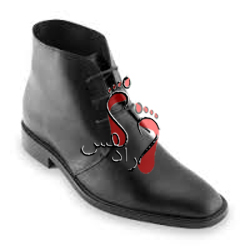 73534a55ce60ee4afb6cfd2d195301ca