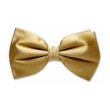 7d037160c78ababdd753b1cfc9bc205e