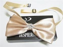 فروش بهترین پاپیون ها برای مجالس