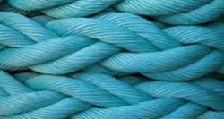 853e894ee3669486b7c18f5fb92c2bec