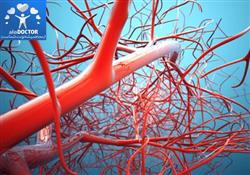 قیمت روز انواع الیاف پلی استر در مشهد