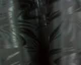 8dd04347a21e458bc6e66cbf20ddf326