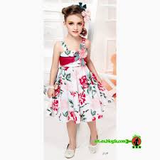 927b39ea5b8fe7dfc361e0573bcbf0b1