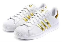 95f9548e2f5914a50461ec042b62360a