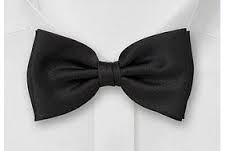 قیمت خرید انواع پاپیون ساده