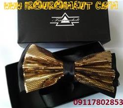 نمایندگی پاپیون شیک مجلسی