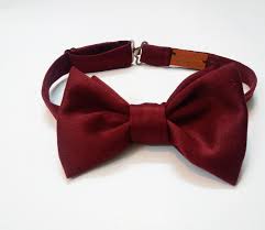 انواع مدل های جدید و خلاقانه پاپیون