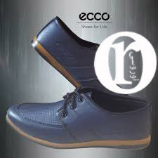 a2f39314926f92c20757c513dddc15a3