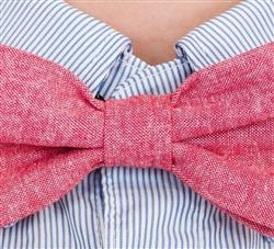 a386336f5006cc71816f7cc2e25dd401