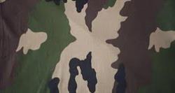 a6b55b58244ababed64777b58cd15703