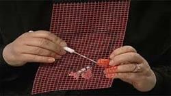 ad5a256b22ac0b0e28757778e721228a