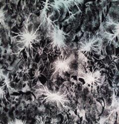 نمایندگی فروش عمده پارچه اسپان لاکرا