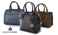 خرید اینترنتی کیف دیوید جونز