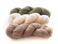 ba3ce66c7587e64b5db1d7e161fb9c1a