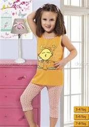 ba548a38252be0fcea5eea946ef413e4