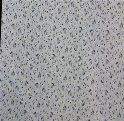 c06eeb2bdbf0acd4171b9a7a202ed70a